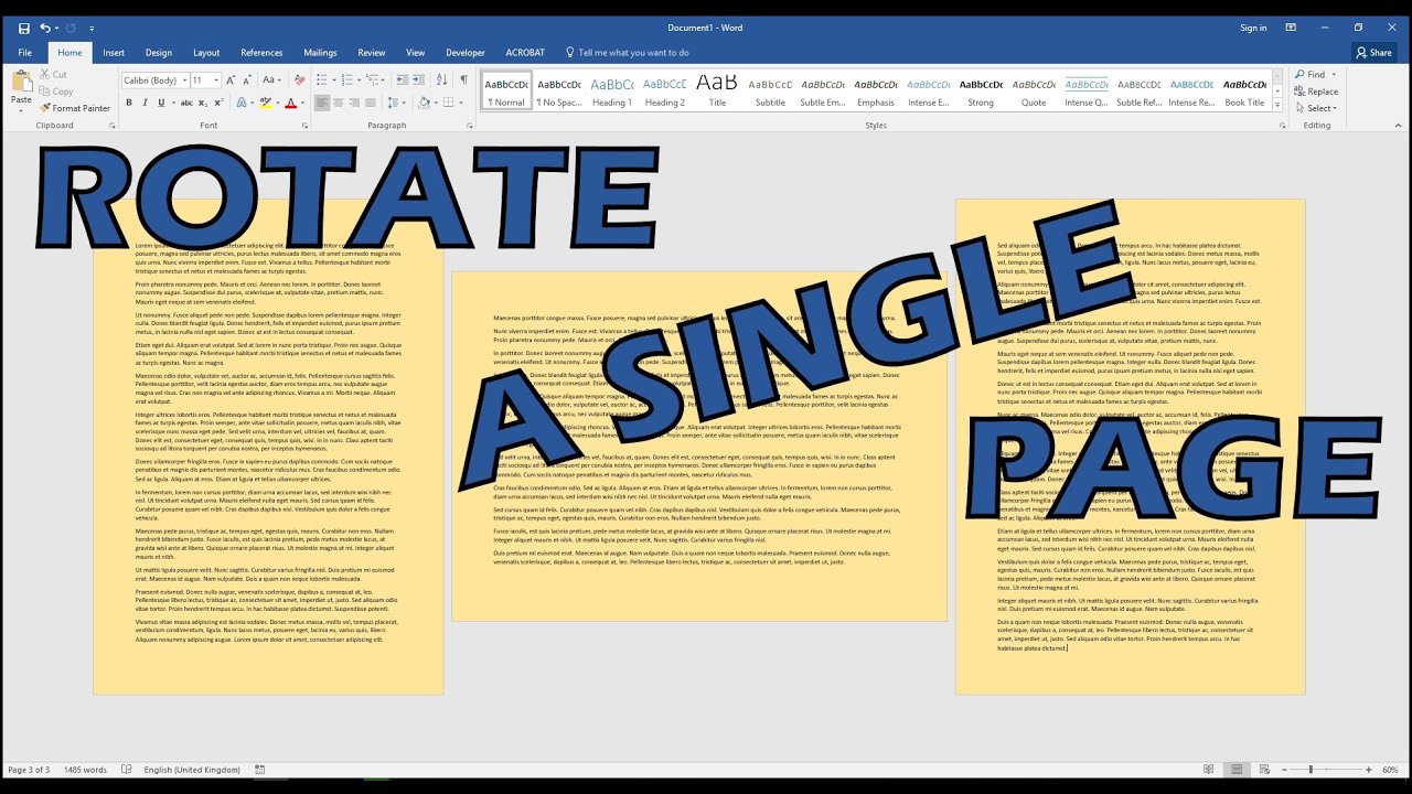 How to rotate a picture in microsoft word